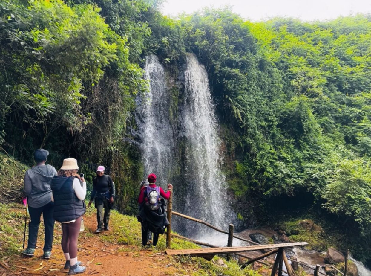AsiliI Travels & Tours