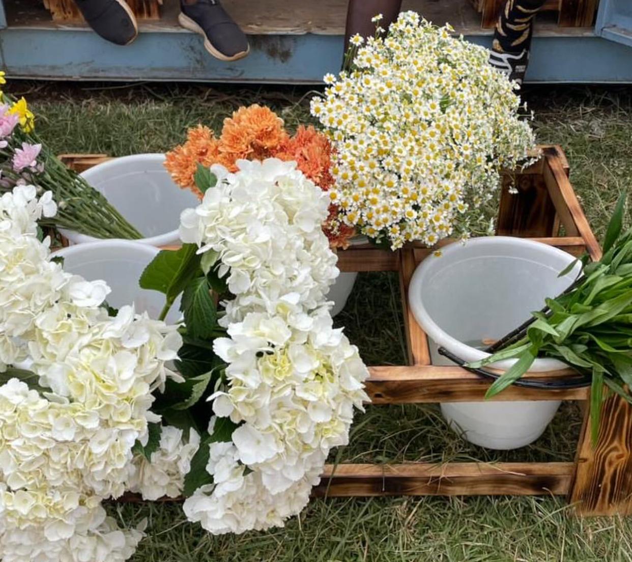 Tigoni Pet & Florist Shop