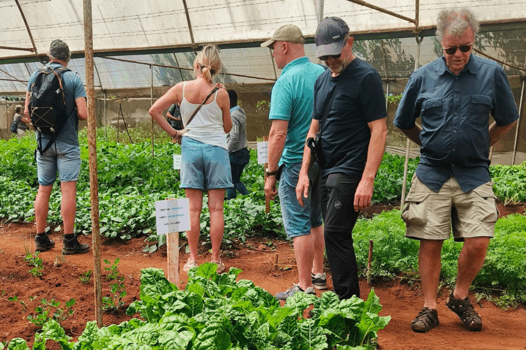 Sensory Garden Kenya